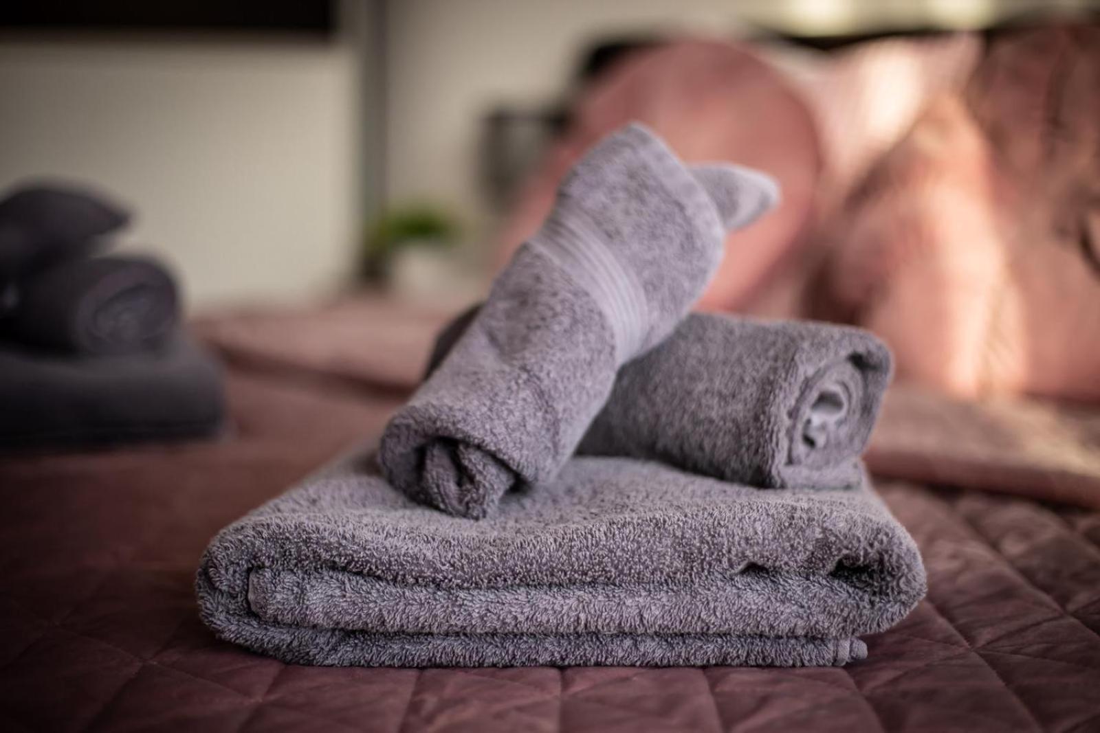 Apartman Elly Slavonski Brod Esterno foto