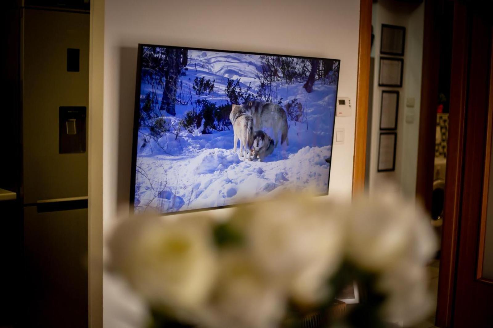 Apartman Elly Slavonski Brod Esterno foto